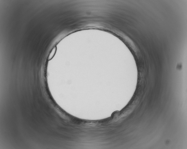 X0000116291373201001111047