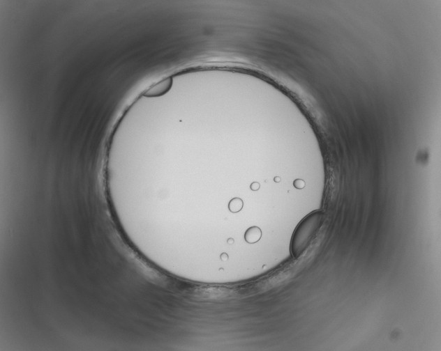 X0000116291374201001111047