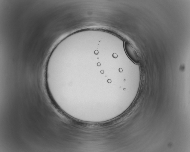 X0000116291375201001111047