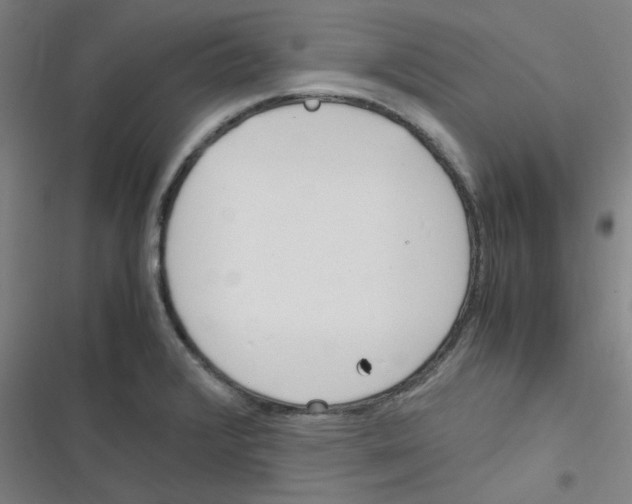 X0000116291376201001111047