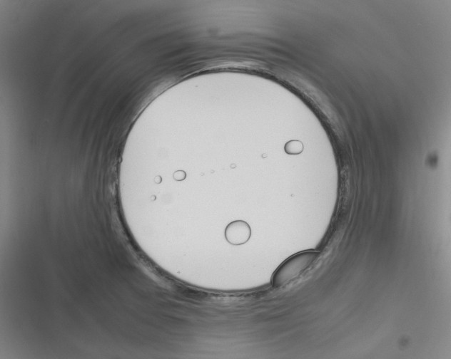 X0000116291377201001111047