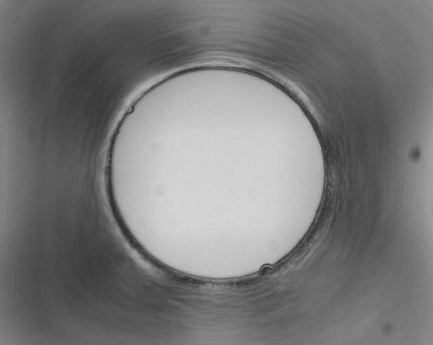 X0000116291379201001111047