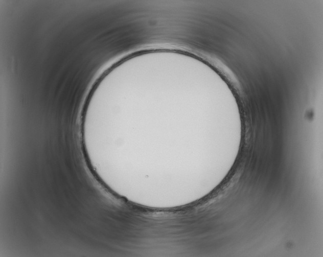 X0000116291380201001111047