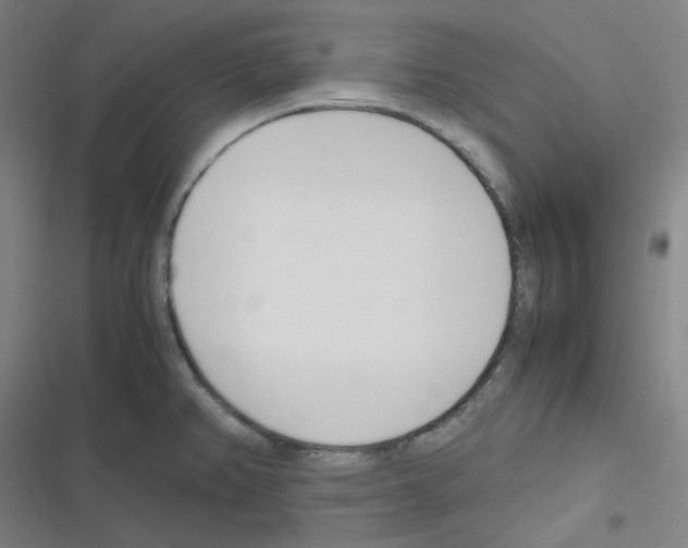 X0000116291382201001111047