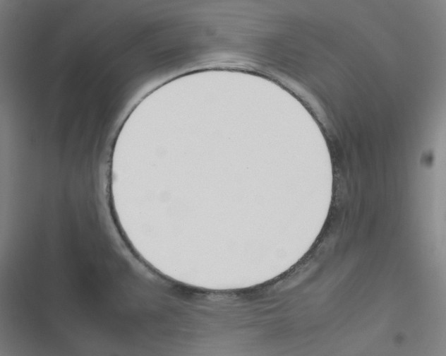 X0000116291383201001111047