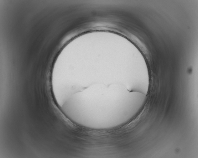 X0000116291384201001111047