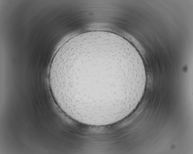 X0000116291386201001111047