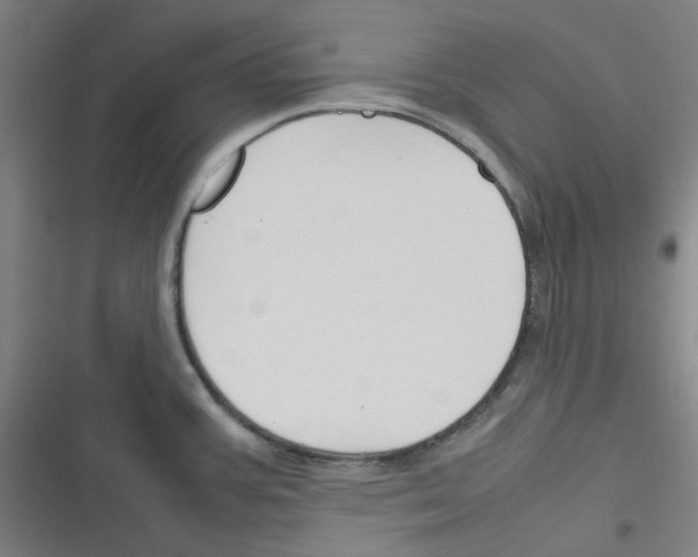 X0000116291387201001111047