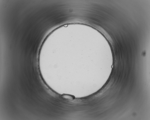 X0000116291388201001111047