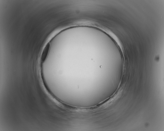 X0000116291389201001111047