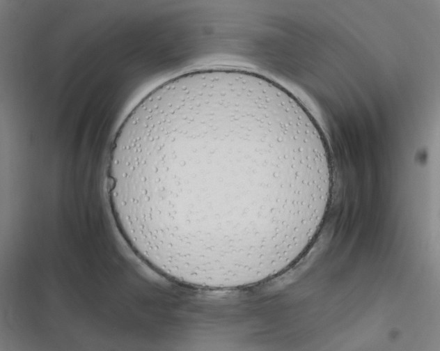 X0000116291390201001111047