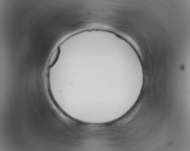 X0000116291391201001111047