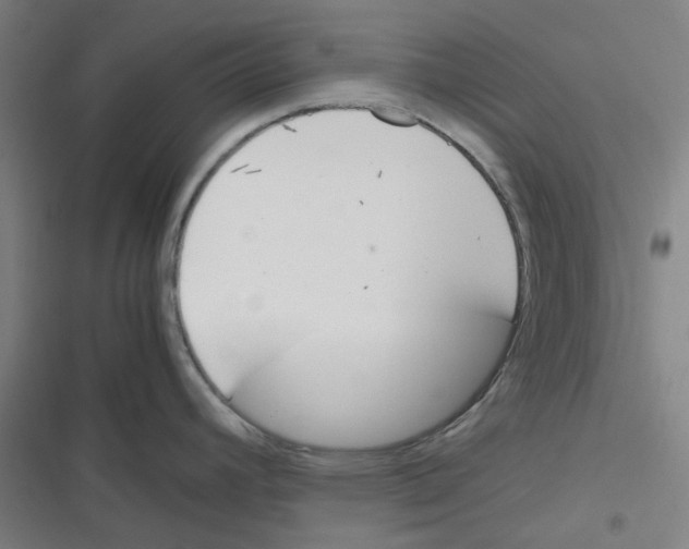 X0000116291392201001111047