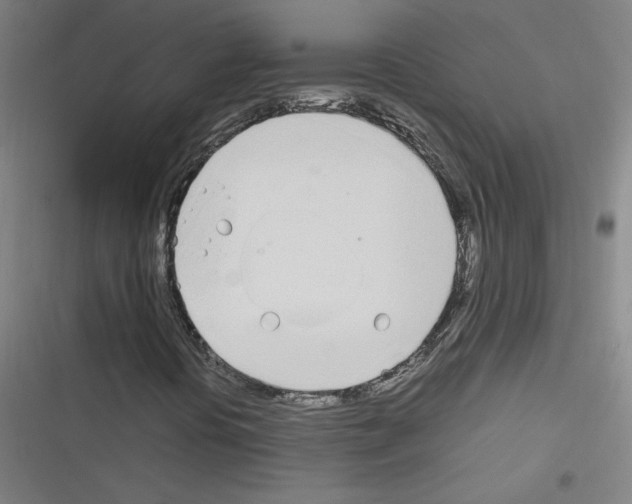 X0000116291394201001111047