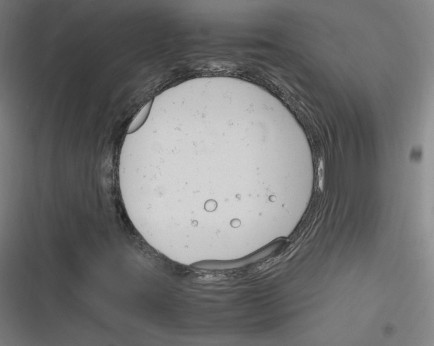 X0000116291395201001111047