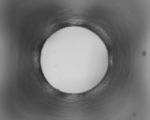 X0000116291396201001111047