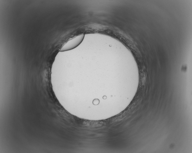 X0000116291397201001111047