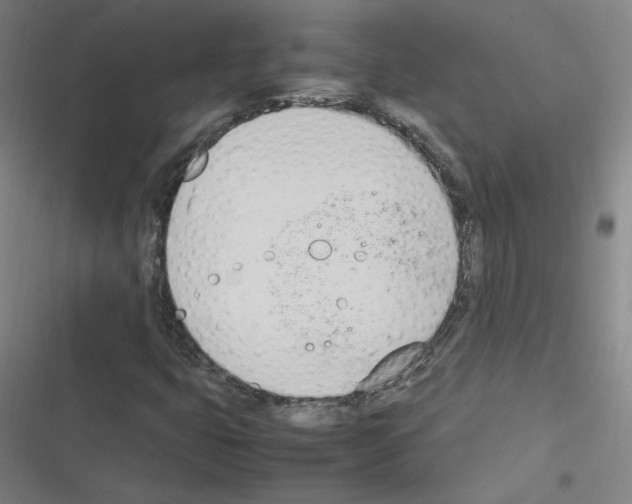 X0000116291399201001111047