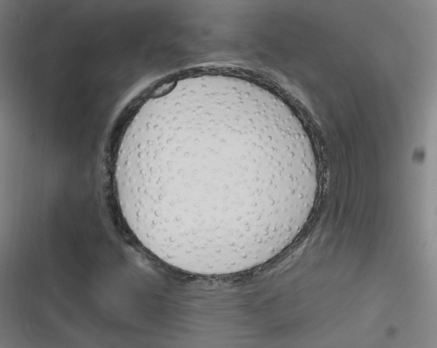 X0000116291400201001111047