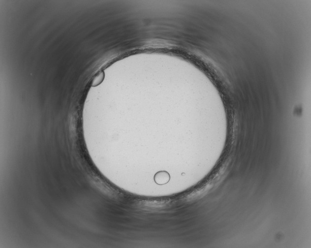 X0000116291401201001111047