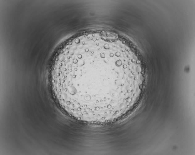 X0000116291402201001111047