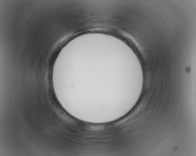 X0000116291403201001111047