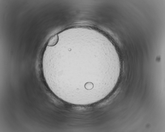 X0000116291405201001111047