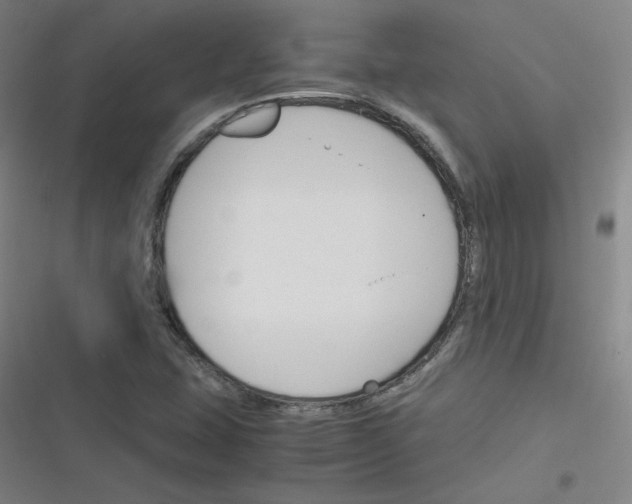 X0000116291407201001111047