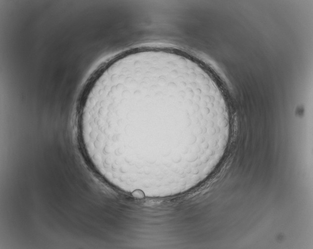 X0000116291408201001111047