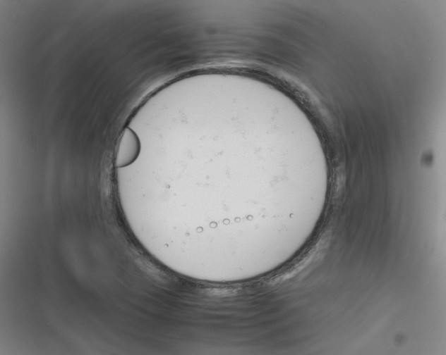 X0000116291409201001111047