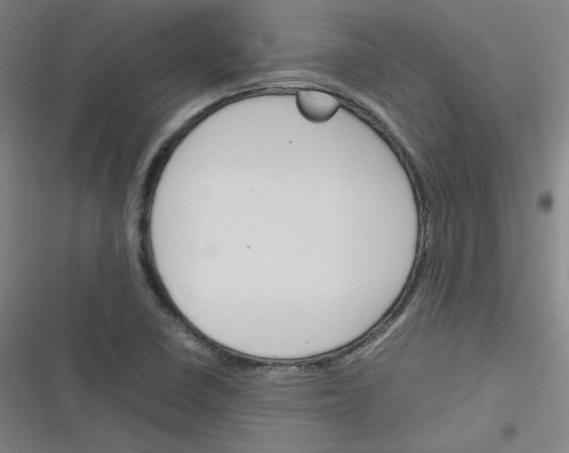 X0000116291410201001111047