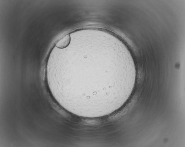 X0000116291413201001111047