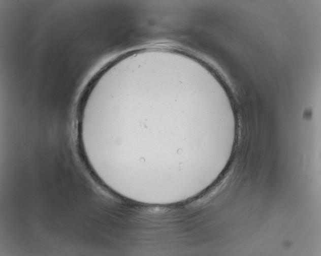 X0000116291414201001111047