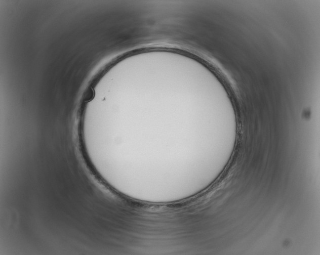 X0000116291416201001111047