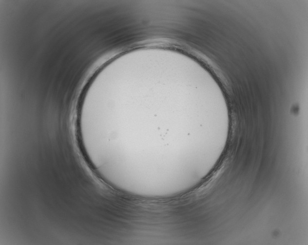 X0000116291418201001111047