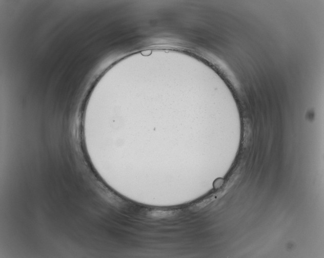 X0000116291419201001111047