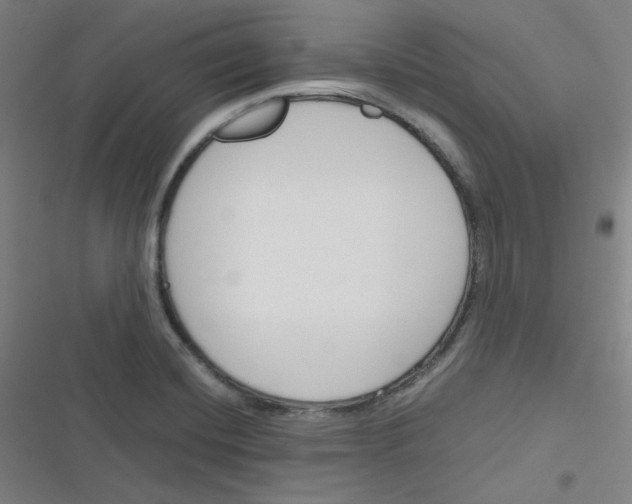 X0000116291420201001111047