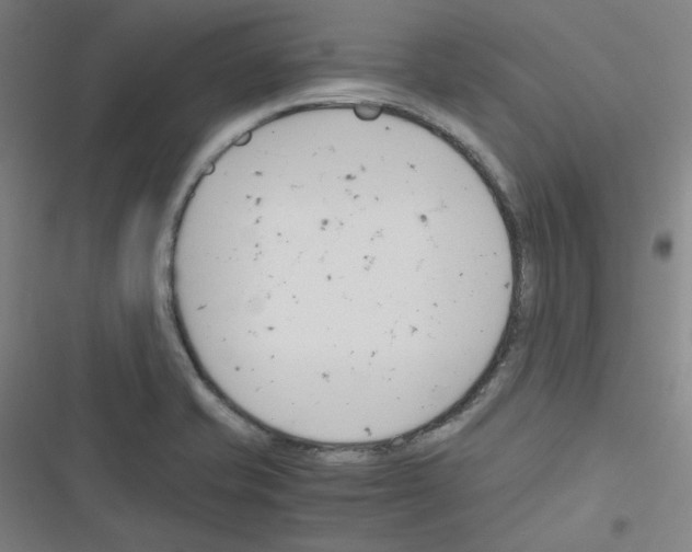 X0000116291421201001111047