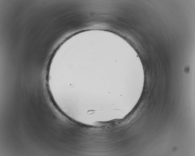 X0000116291422201001111047