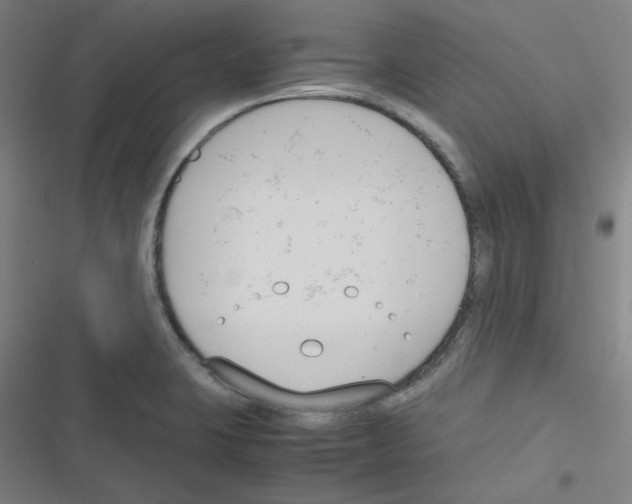 X0000116291423201001111047