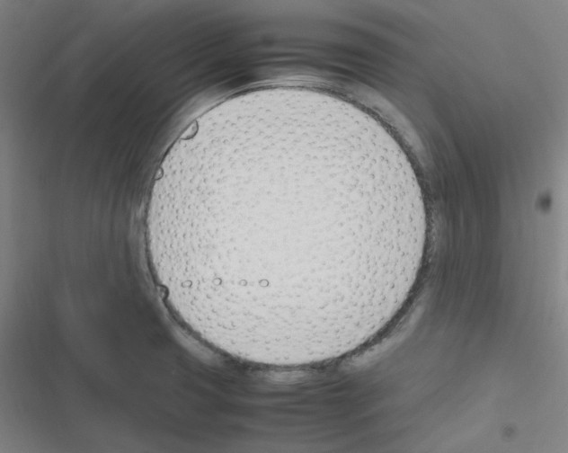 X0000116291425201001111047