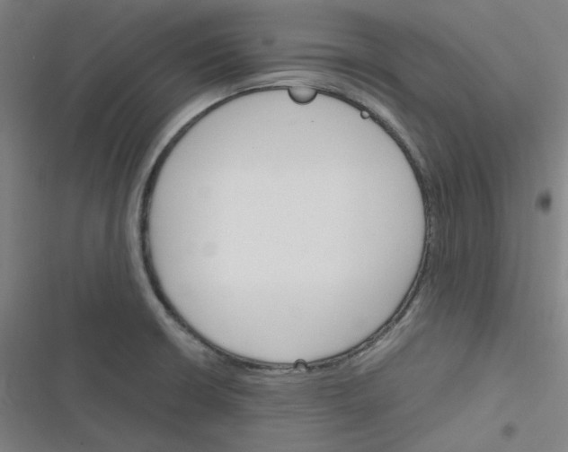 X0000116291426201001111047