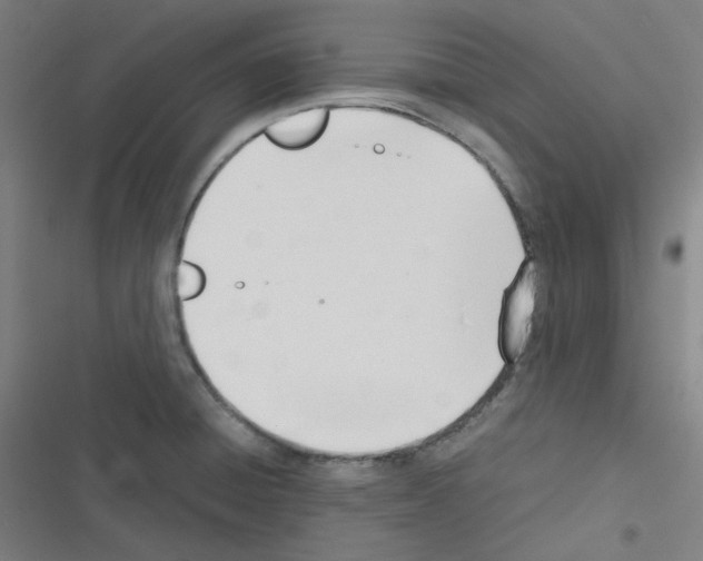 X0000116291428201001111047