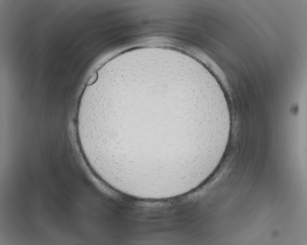 X0000116291429201001111047