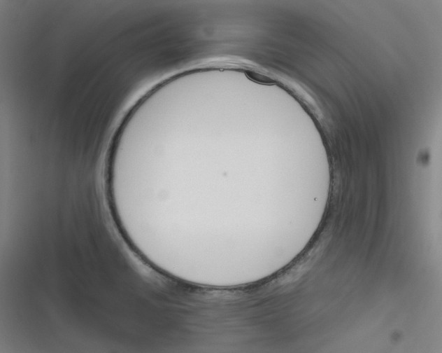 X0000116291430201001111047