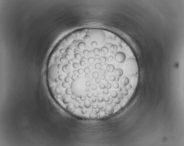 X0000116291432201001111047