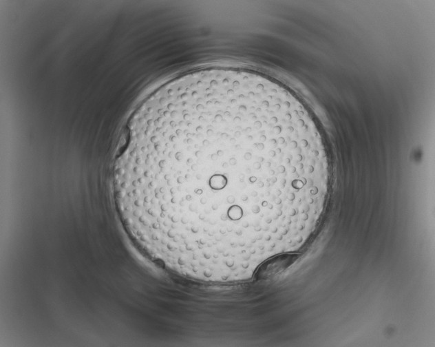 X0000116291433201001111047