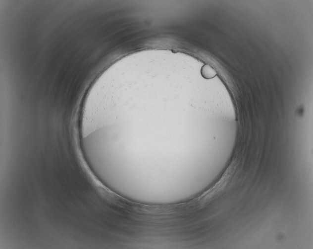 X0000116291434201001111047