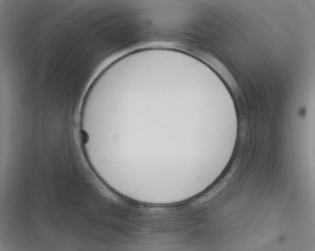 X0000116291436201001111047