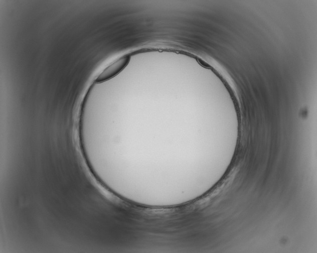 X0000116291437201001111047